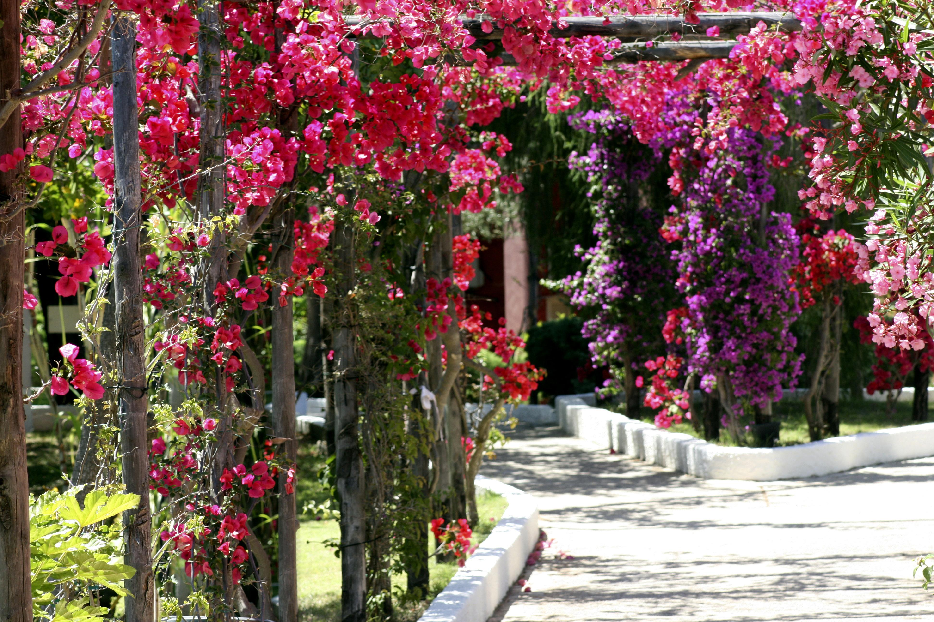 Th Costa Rei - Free Beach Resort ภายนอก รูปภาพ